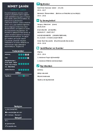 Ressam Cv Örnekleri cv indir